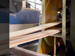 Фабрики панелей стены WPC водоустойчивое звукоизоляционной сразу и влагостойкий